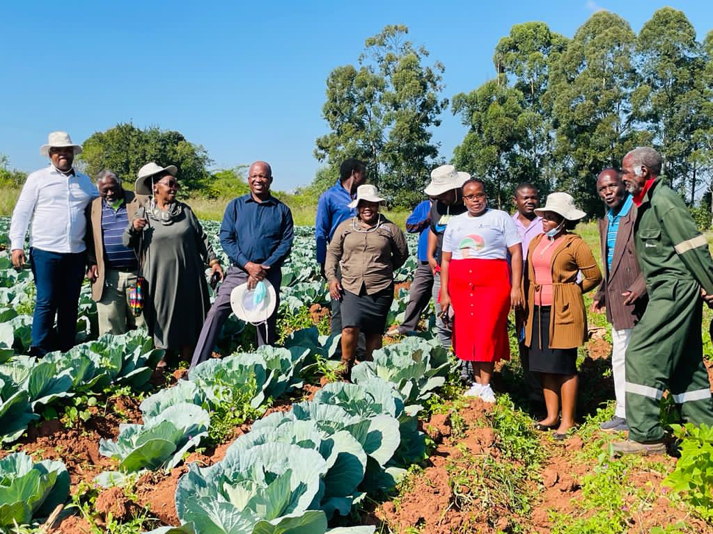 The beautiful journey of our Youth farmers