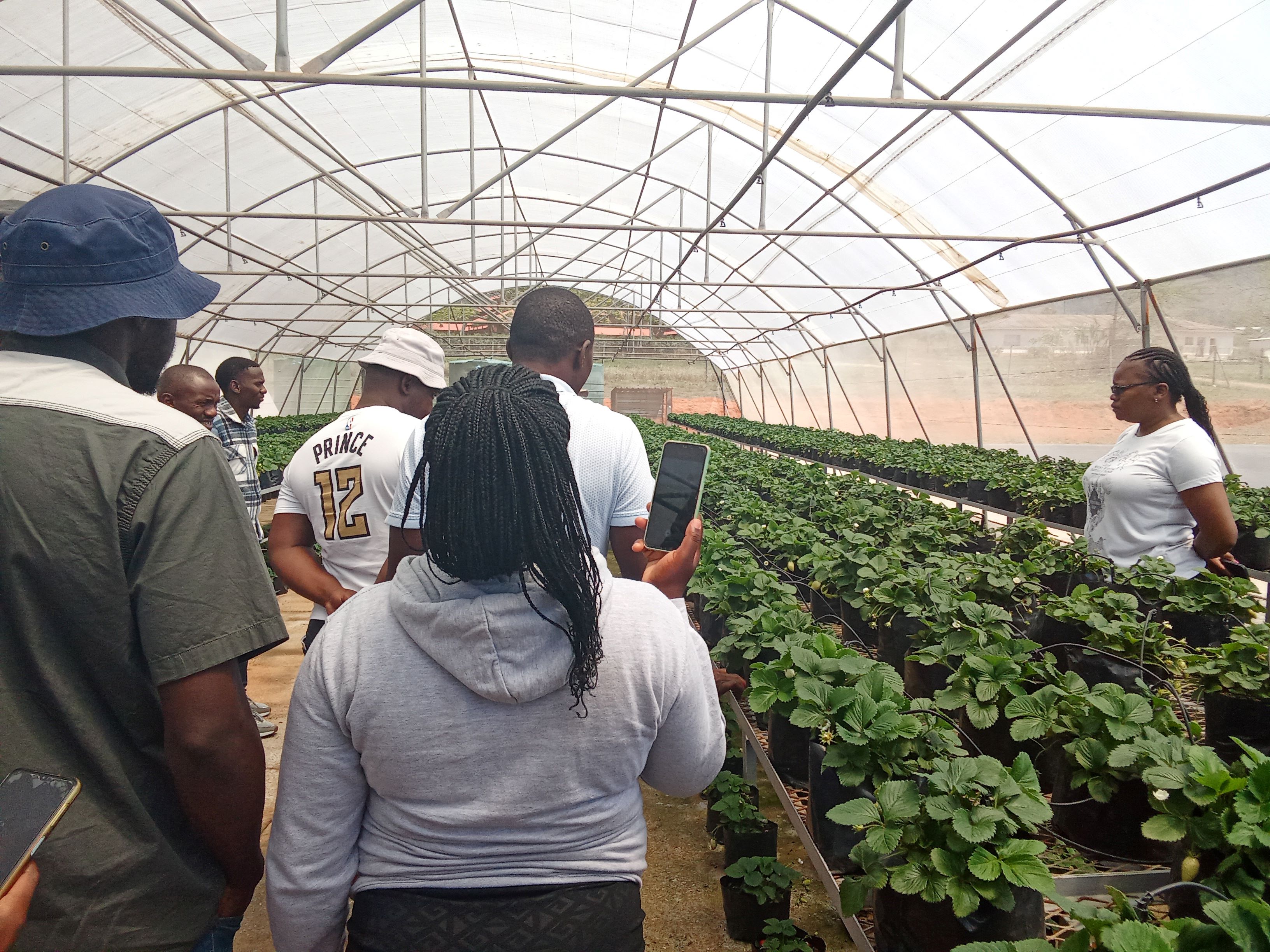 Beyond the Field: Securing the Livelihood of Eswatini's Farmers and Rural Communities